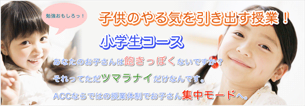 ACCゼミナール